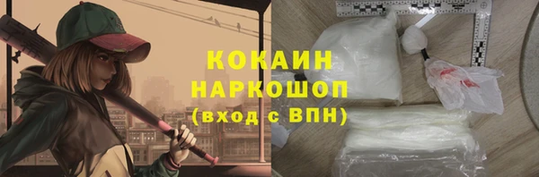 соль ск Алексин