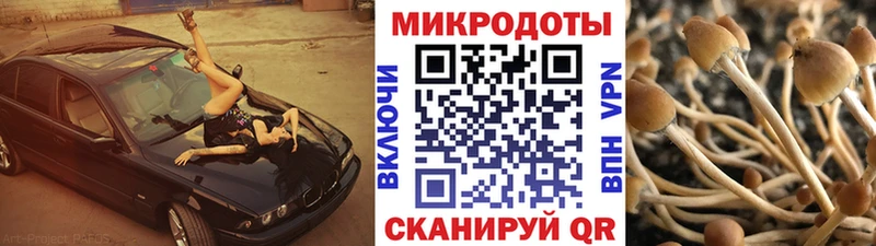 сколько стоит  маркетплейс клад  гидра маркетплейс  Галлюциногенные грибы GOLDEN TEACHER  Мураши 